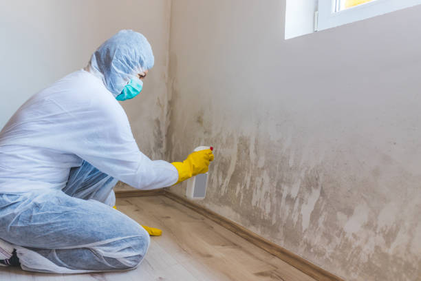 Mold Remediation specialist working in Bristow